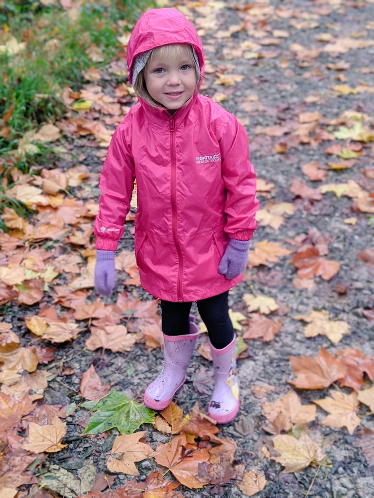 JodieMorgan321's tweet photo. @YBBNursery lovely Autumn walk for us today , lots of splashing in our wellies ! ☂️ https://t.co/GGEZkD3lD1