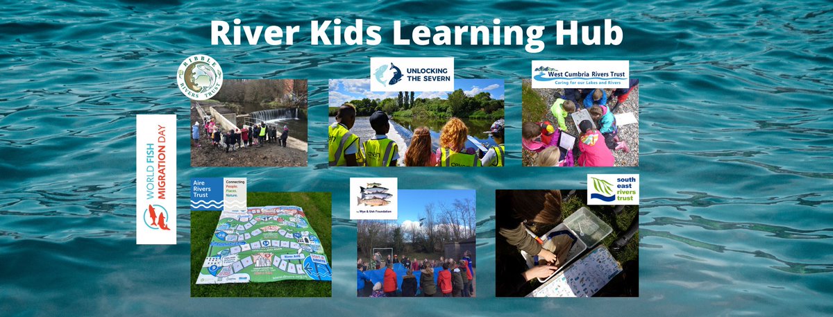 SevernUnlocked's tweet photo. Catch the full film on our Facebook page and don't miss this great event planned to celebrate #WorldFishMigrationDay with kids and families on Monday! #StepUpForFish
https://t.co/JDSCqy9paW https://t.co/JYg47pwOEZ