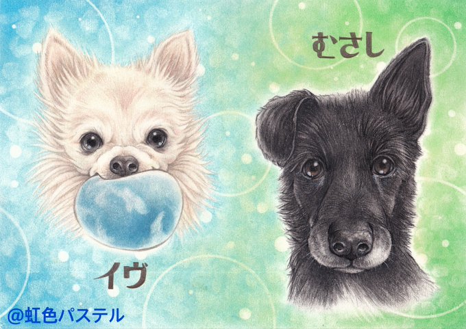 犬の絵のtwitterイラスト検索結果 犬の絵のtwitterイラスト検索結果