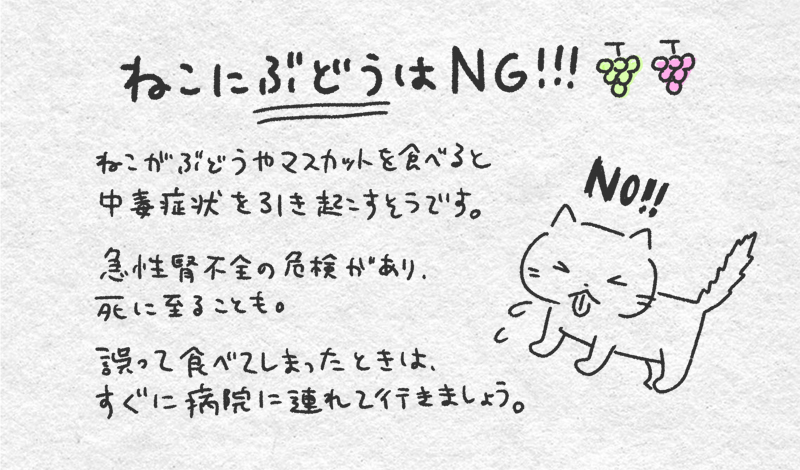 ねこぱんつ On Twitter これは漫画だけど 作中ではマスキャットとか名前は変えたけど 実際は怖い組み合わせだったので念のため 私も最近調べて知って このネタ描くの止めておこうかと思ったけど まだ知らない人もいそうなので警告出来たら良いかなと描きました