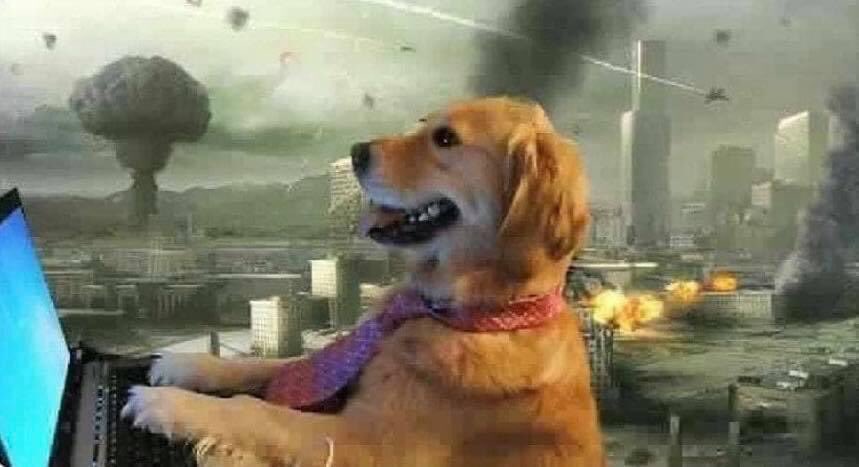 Io che, in questo periodo, compilo i documenti per l’Erasmus del secondo semestre