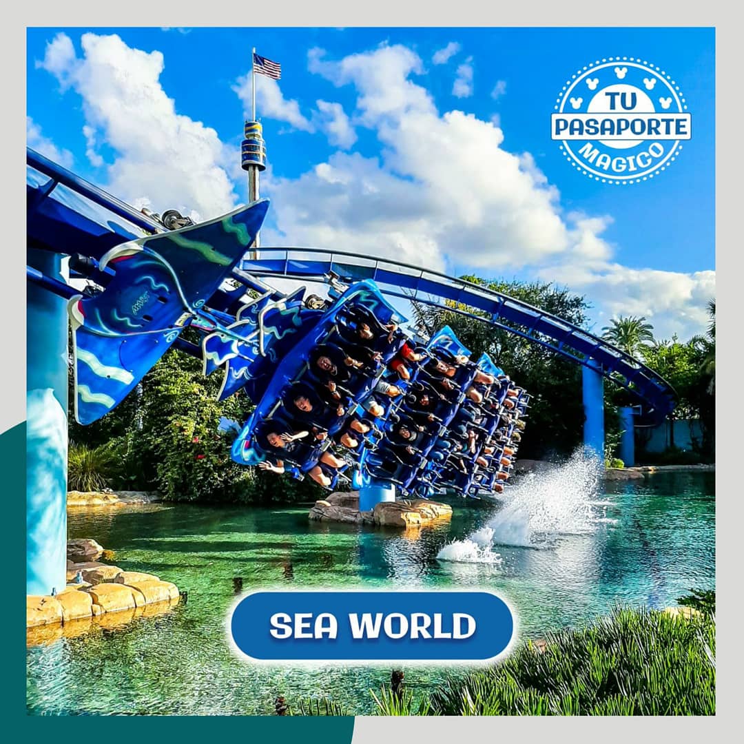 TuPasaporteMag's tweet photo. 💙🐬 SEA WORLD 🐬💙
#SeaWorld es un parque temático lleno de aventura y entretenimiento!
Visitanos aquí y te contamos más detalles⤵️
https://t.co/EsDRpi3cE7

#seaworldorlando #tupasaportemagico 
#magicholidaystravelagency
#Orlando #florida #themeparks #coaster #Disney #Universal https://t.co/yYGITjYJEK