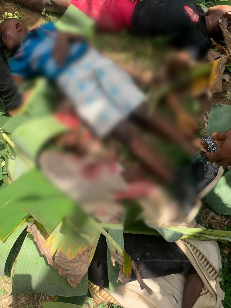 MMI News tweet media