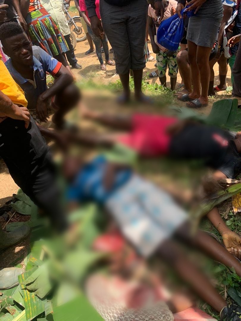 MMI News tweet media