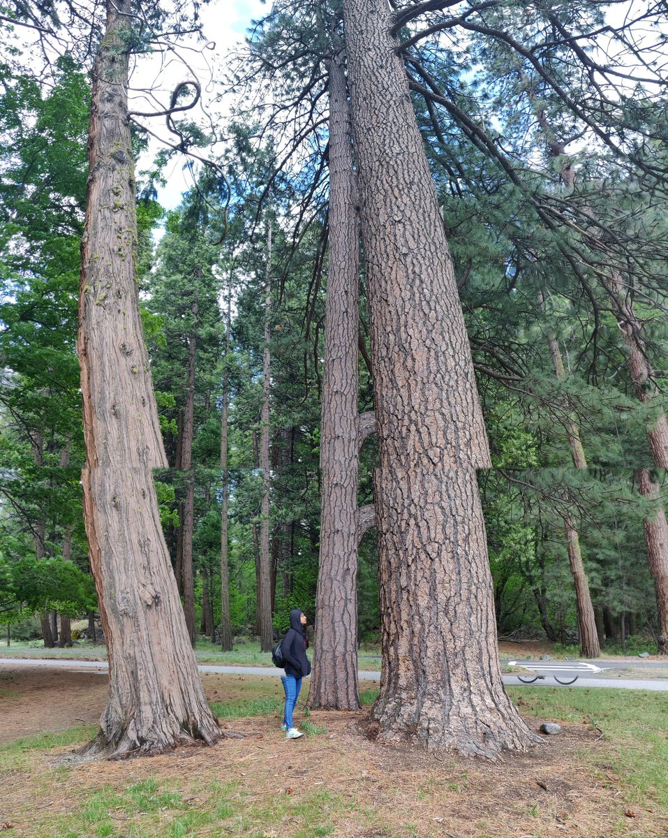 NamrataKhetan4's tweet image. Could do with a view like this for a bit and maybe a bottle of wine, chocolate 🍰,a massage and a 🍕🍕 #breakneeded #wired #gocoronago