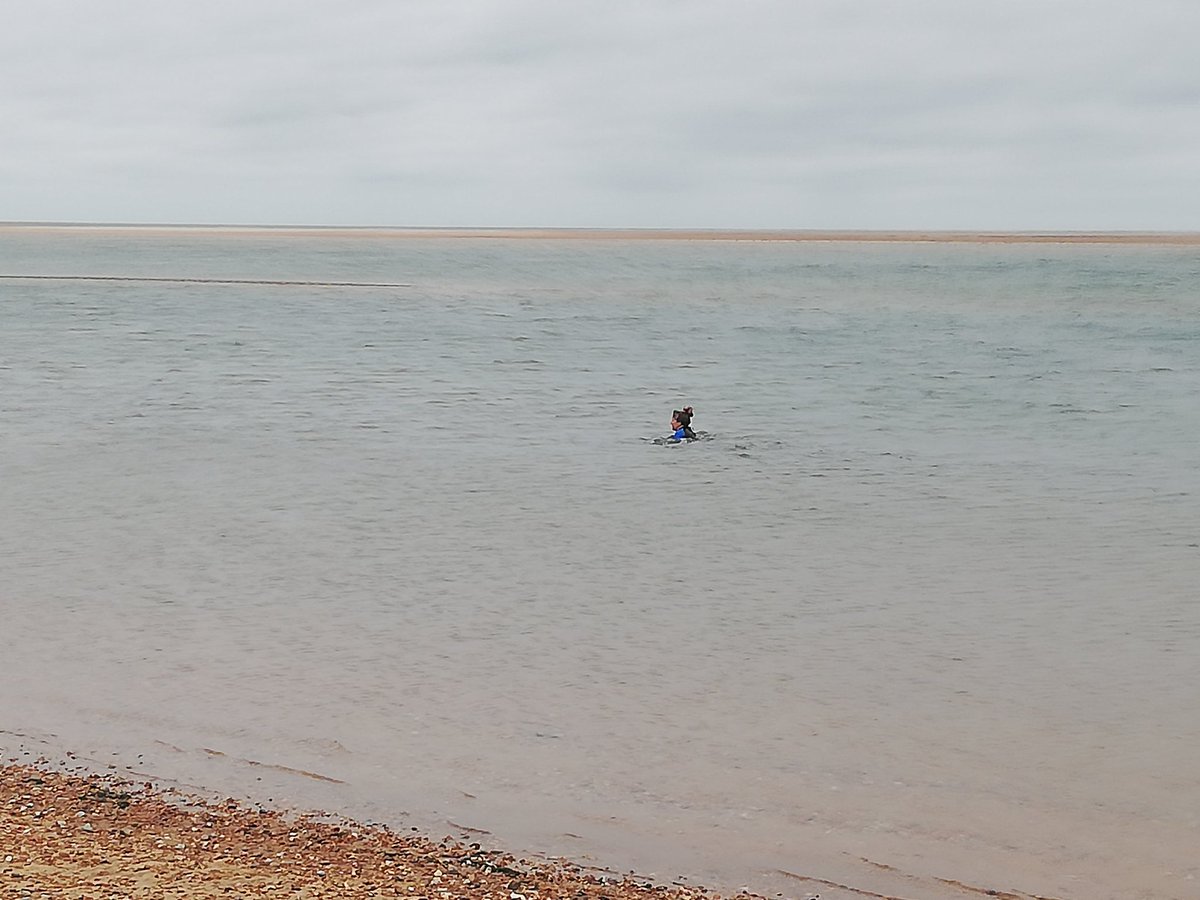 ComeToWells tweet media