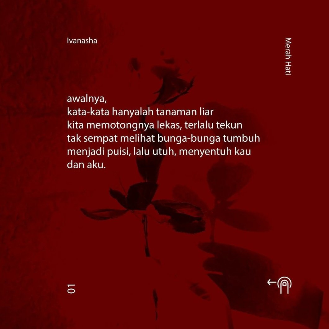 Ivanasha tweet media