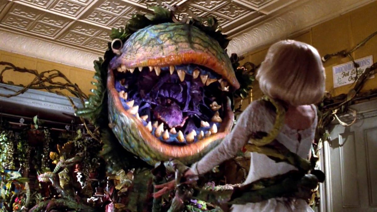 Night 24 - Little Shop of Horrors (1986)I used to have this movie on repeat all the time when I was a kid.