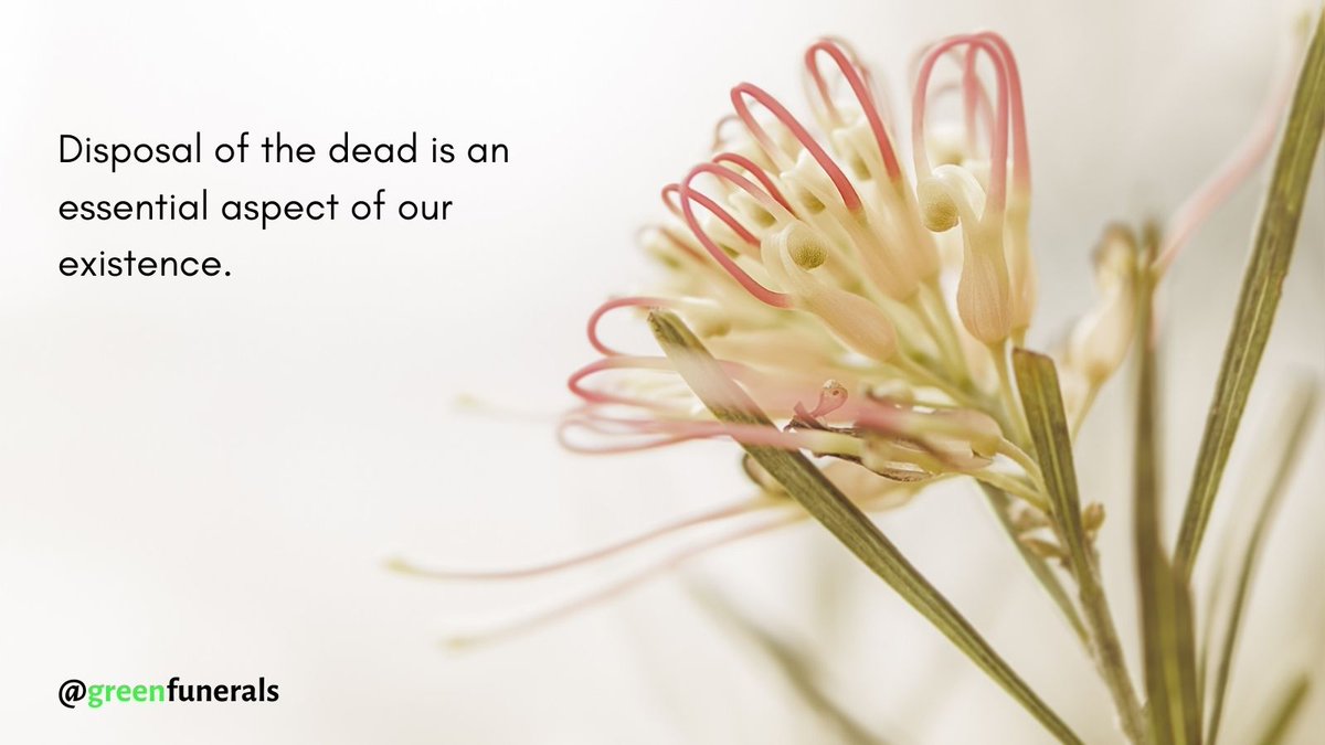 funerals_green's tweet photo. Individuals around the world engage in one common yet fundamental activity that is of personal, emotional, social, and environmental significance –disposal of the dead. 
Choosing to be buried in a greener way, will make the difference. 
-
-
#greencemetery https://t.co/Ned37sUHrF