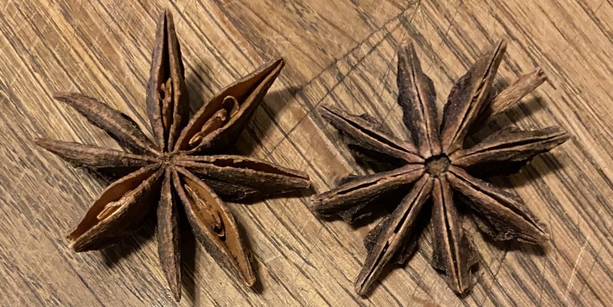 aggiuggi's tweet photo. star anise is so beautiful #makingstew https://t.co/c3vpWbgzj8
