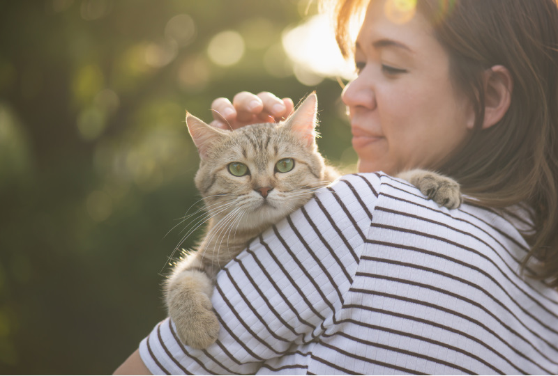 A Few Tips for Seniors Getting a New Cat
https://t.co/EhQCNi957M
#overfifty #healthyme #overfiftyandfabulous #overfiftyfitness #womensupportingwomen #imasurvivor #womenencouragingwomen #Woman #Beauty #Womenover50 #Travelblogger #pet #breath #scratching #cat #catlover #catlovers https://t.co/pUrlmz5zMr