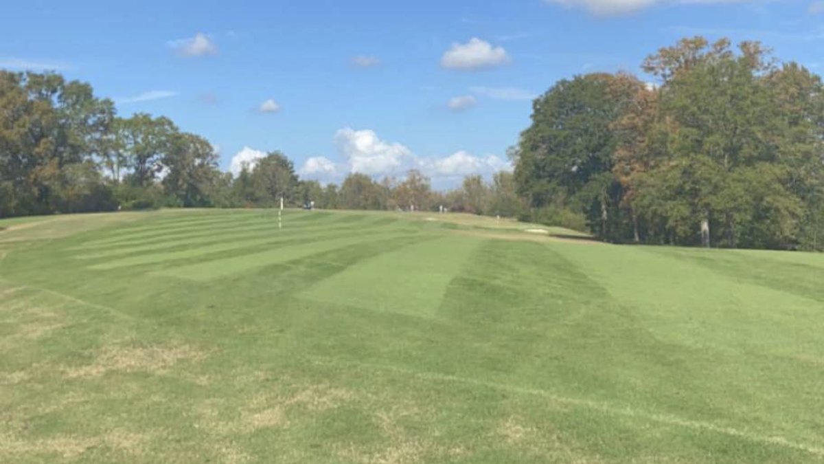 Hey <a href="/Tahoma31Bermuda/">Tahoma 31</a> - we just sprigged our back 9 fairways and tee boxes in T31 and LOVE IT!!!