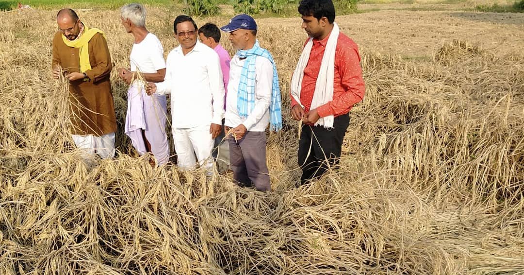 PradeepYadavMLA's tweet photo. इस बार धान के उपज की अच्छी उम्मीद थी, किंतु बीते कुछ दिनों से दुमका व गोड्डा के किसानों की ओर से सूचना मिल रही थी कि एक बीमारी #पचपचिया (जिसे धान का कैंसर कहा जाता है जो फसल को बर्बाद कर देता है)
फसल को बर्बाद कर रहा है
किसानों की सूचना पर आज दुमका व गोड्डा क्षेत्र के कई गांव1/2 https://t.co/TlL70O3TKZ