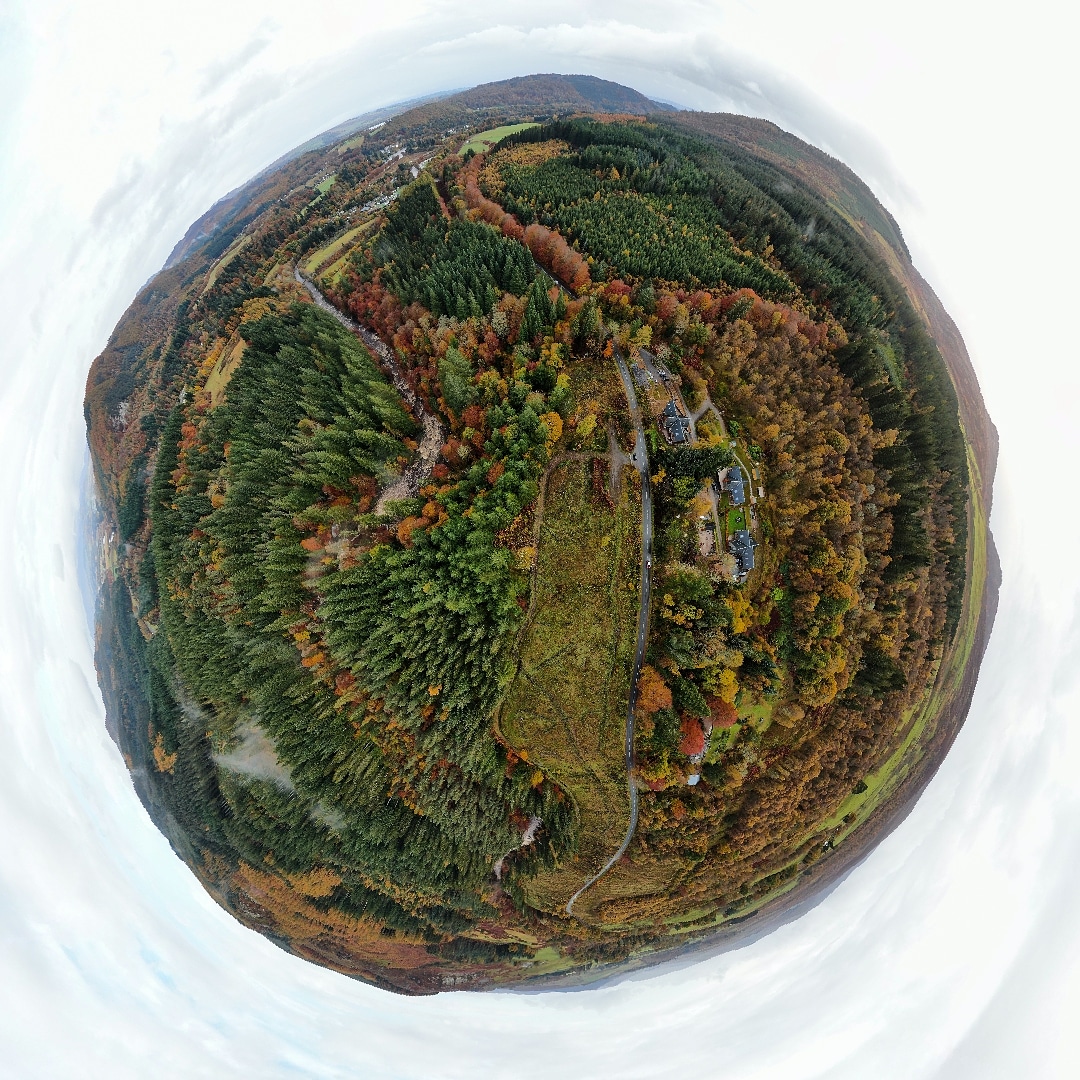 SilvaScienta tweet media