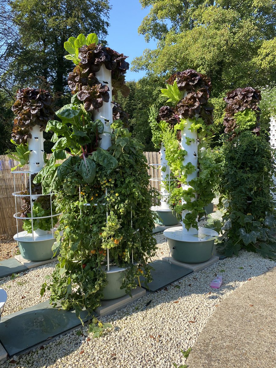 astro_timpeake's tweet photo. Learning how to grow edible plants in the challenging and confined conditions on board a space station can help us get creative about doing the same on Earth.#urbangardening #Verticalgarden #space #ScienceMatters 
📷NASA https://t.co/5RVCNl7icC