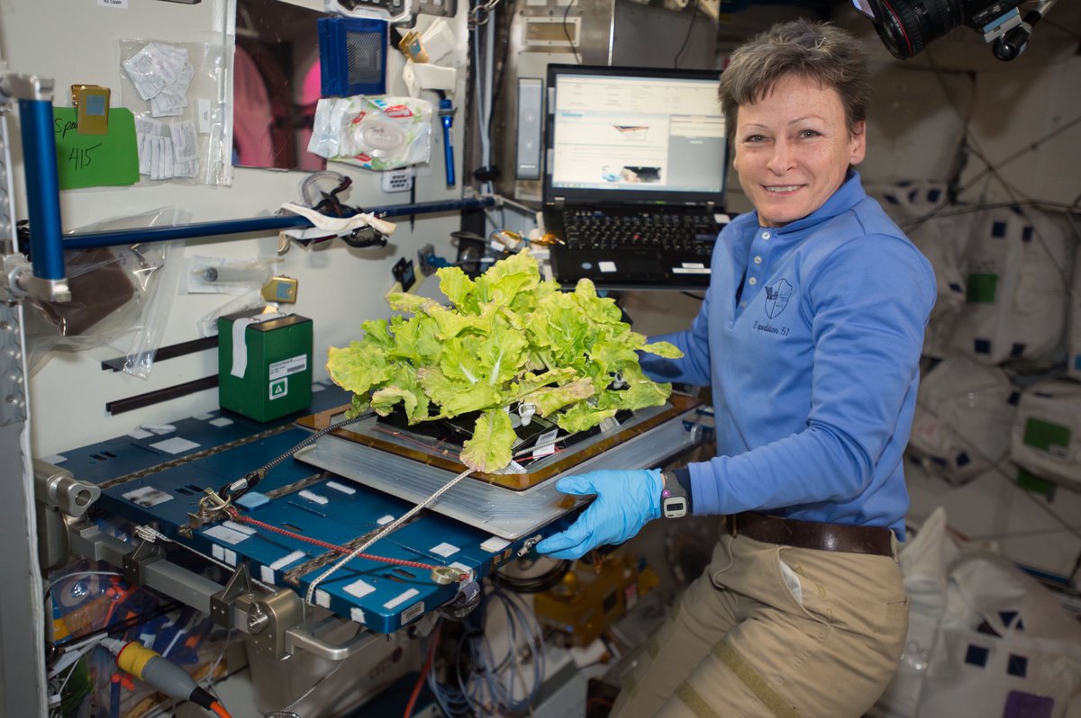 astro_timpeake's tweet photo. Learning how to grow edible plants in the challenging and confined conditions on board a space station can help us get creative about doing the same on Earth.#urbangardening #Verticalgarden #space #ScienceMatters 
📷NASA https://t.co/5RVCNl7icC