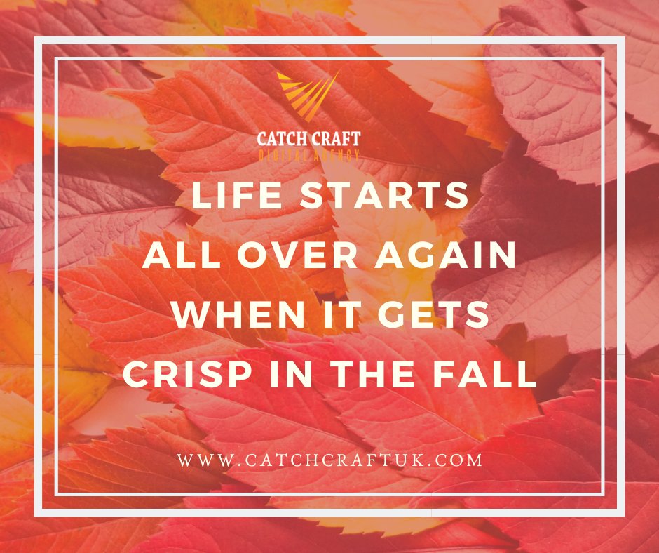 Catch Craft Co. uk tweet media