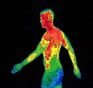 sbs_quee's tweet photo. ¿Sabías que?
El calor corporal es más de lo que imaginas

En 30 minutos, el cuerpo humano libera suficiente calor como para hervir casi medio litro de agua.
Así quede...😯
#Asíquedé...😳 #sabiasque #asíquedé #historia #datoscuriosos #infórmate https://t.co/hdyAWPxu0m