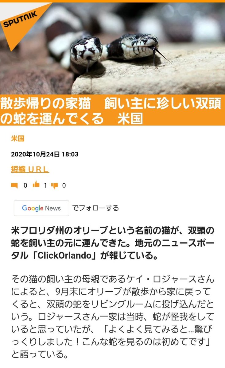 あっこ 散歩帰りの家猫 飼い主に珍しい双頭の蛇を運んでくる 米国 米フロリダ州のオリーブという名前の猫が 双頭の蛇を飼い主の元に運んできた 日運コード174 猫 同期コード274 オリーブ スパイクコード106同期コード160 双頭の生物 日運