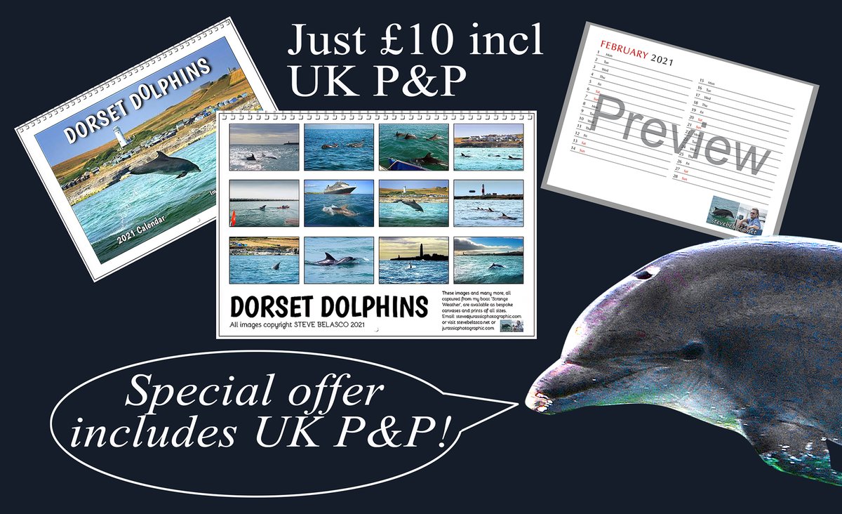 The Dorset Dolphins 2021 calendar is proving popular. Don't miss out!  SPECIAL OFFER! For a limited period, just £10 including P&amp;P! in the UK. Visit stevebelasco.net