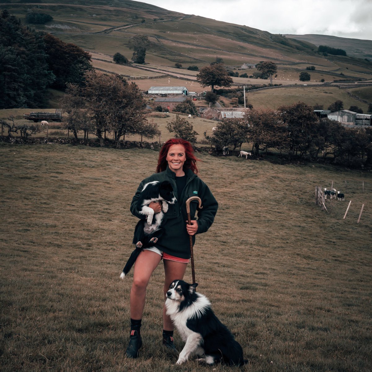 inthe_country's tweet photo. Brightening up a gloomy Autumn Saturday โค๏ธ Head over to the website to read all about Hannah Jacksonโs journey to becoming The @redshepherdess ๐พ๐ From our cover shoot, to SAS: Who Dares Wins, @BBCCountryfile and more!
https://t.co/1o8gdL1mQU
#femalefarmer #redshepherdess https://t.co/VCzaVA2sz0