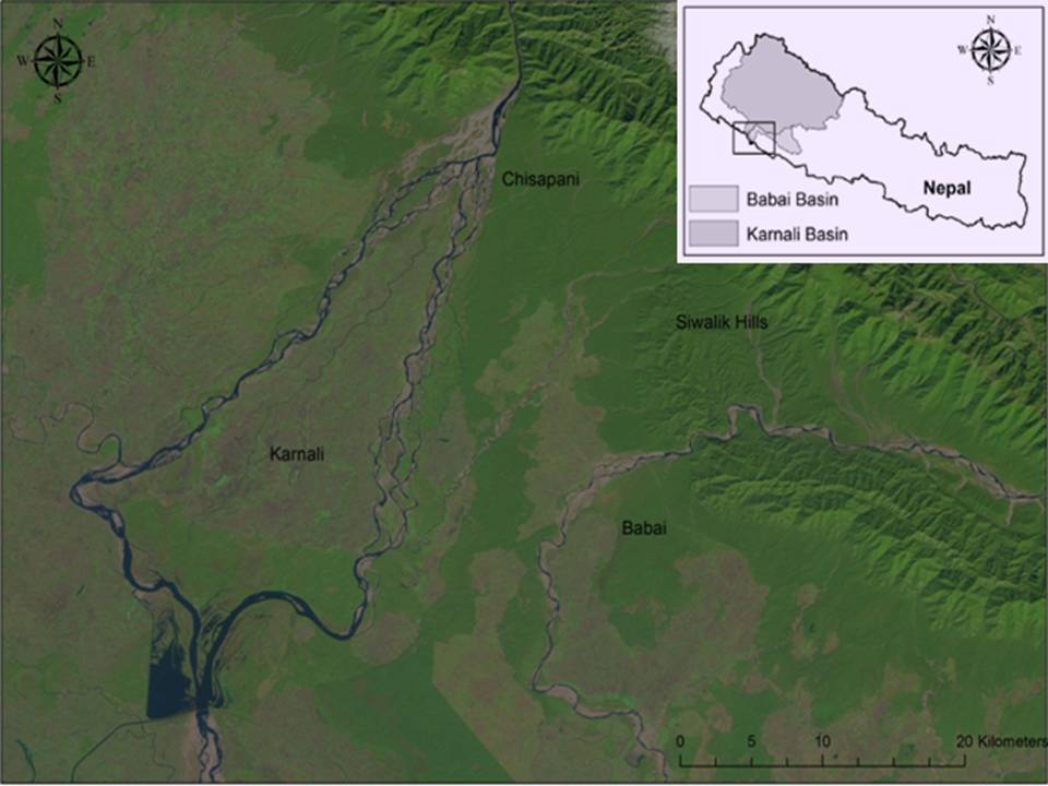 Our work in the  #Karnali river also shows that the river dolphin population continues to decline over the years with a significant reduction in the area of their occurrence. 5/10
