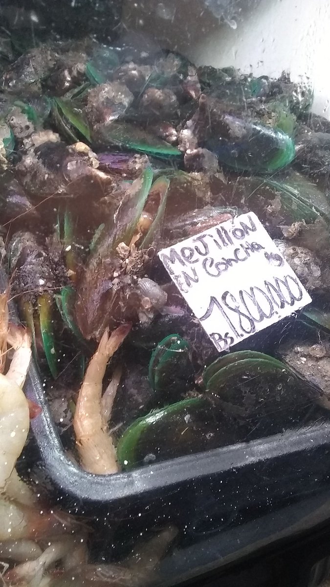jmpu2002us's tweet photo. @PCaracas2018 @UrbElParaiso pereció de pescados
#24DeOctubre #laguaira #mejillon #pargo #carite https://t.co/Szgjj6r1tv