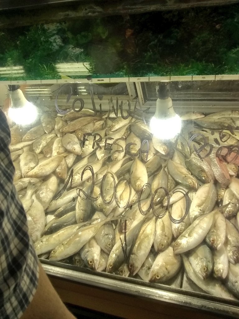 jmpu2002us's tweet photo. @PCaracas2018 @UrbElParaiso pereció de pescados
#24DeOctubre #laguaira #mejillon #pargo #carite https://t.co/Szgjj6r1tv