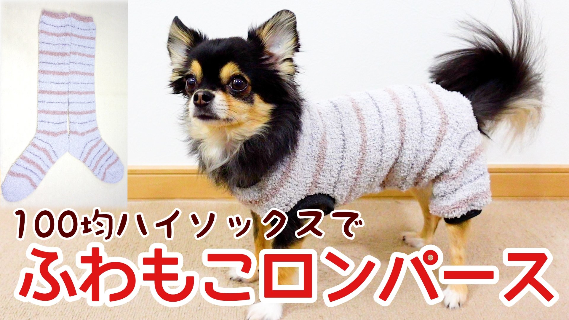 犬服作り Powawa Hinajin Twitter