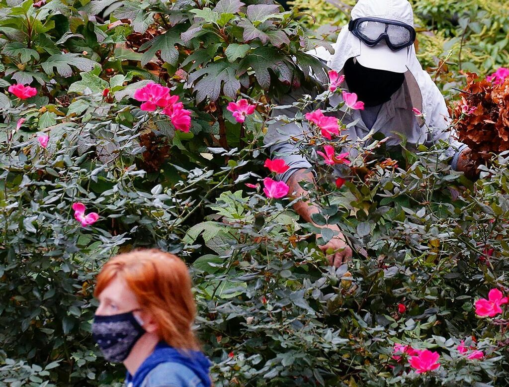 johnnyfoto's tweet photo. #fallgardening #nyc @upi @canonusa https://t.co/Nn6PezZUvV