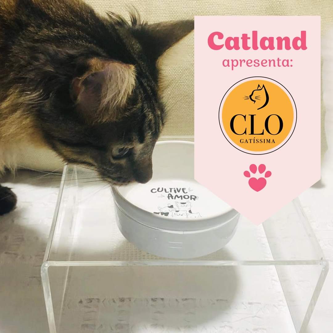 catlandrescue's tweet image. A Clo Gatíssima, uma loja virtual com muitos produtos inovadores para os gatinhos e ahh tem uns mimos para humanos também!! Ao realizarem a compra na loja, utilizem o cupom CATLAND e 10% do valor da compra retorna para ajudar os resgatinhos da Catland.

instagram.com/clogatissima