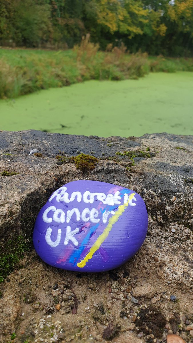 Cuckooqueen's tweet photo. No wind, no rain, no Welsh lockdown will stop me walking raising awareness #pancreaticcancer #purplerocks #Torfaenrocks #pcam2020 @PancreaticCanUK https://t.co/3d27IsnCiI