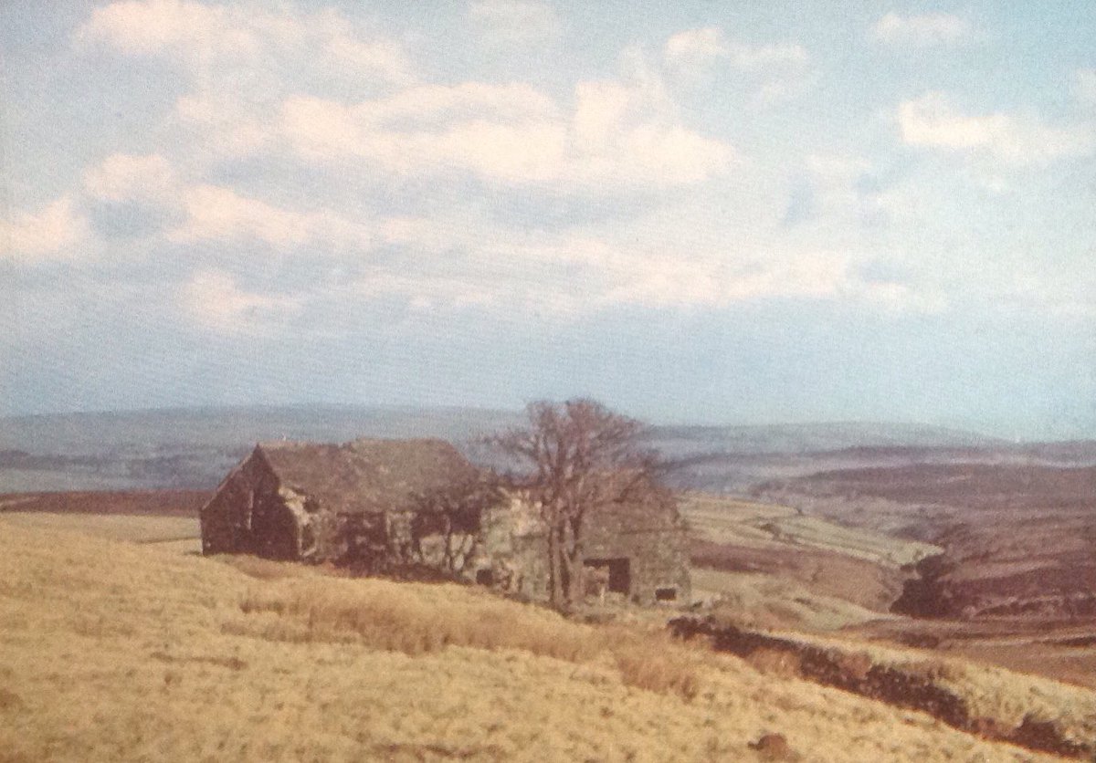 WR Mitchell tweet media