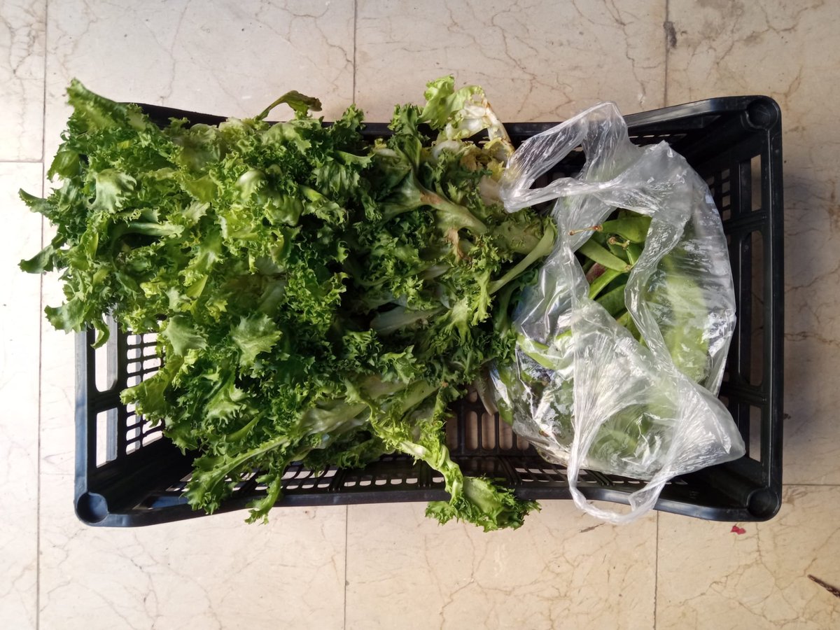 🥬🥦🍅Recordem que cada dilluns a les 17:30h som davant l'<a href="/Ateneuvilanovi/">Ateneu vilanoví</a> repartint verdura fresca a la voluntat per qui en necessiti!
👉Saps d'algú que li podria interessar? Comparteix!
Gràcies en especial a la paradeta del mercat Lo Tractoret. #SolsElPobleSalvaElPoble