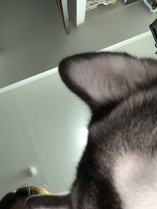 自撮り下手なるな(私的には可愛すぎてよだれあふれる) https://t.co/tnfoSwzDL4