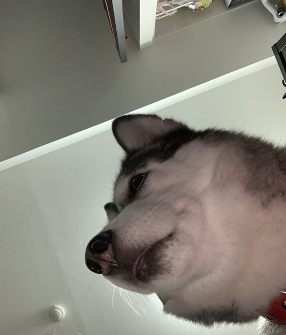 自撮り下手なるな(私的には可愛すぎてよだれあふれる) https://t.co/tnfoSwzDL4