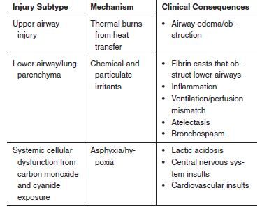 EBmedicine's tweet photo. Smoke Inhalation injuries in the ED -- 2-page summary of the most recent best practices: https://t.co/jB3aZPeAZG
#EBcares #emergencymedicine #FOAMed https://t.co/HqhqLwJ5Dt