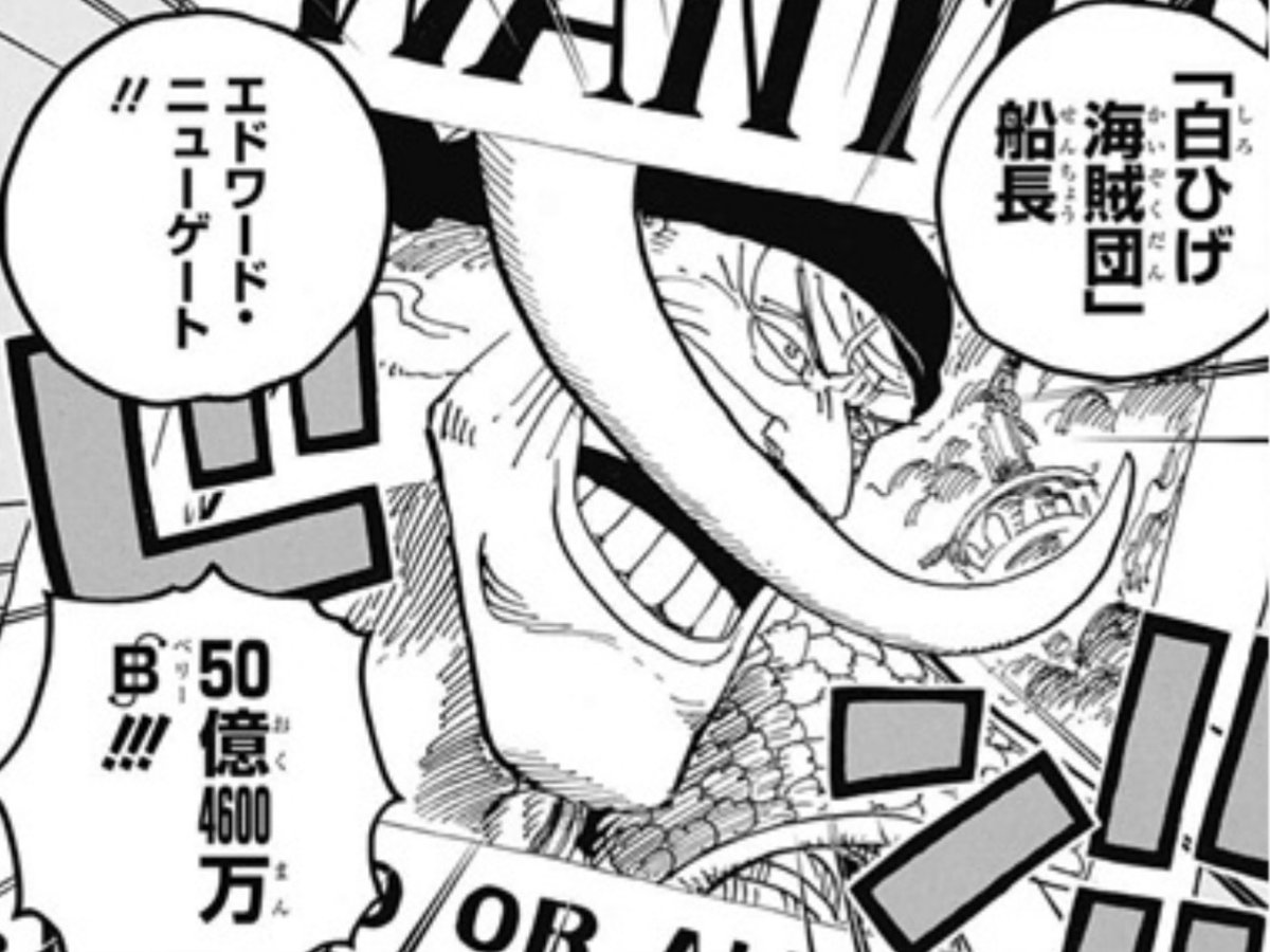 ミスタ様白ひげ/赤髪-【パイソン本革】トートバッグバイカラーブラック