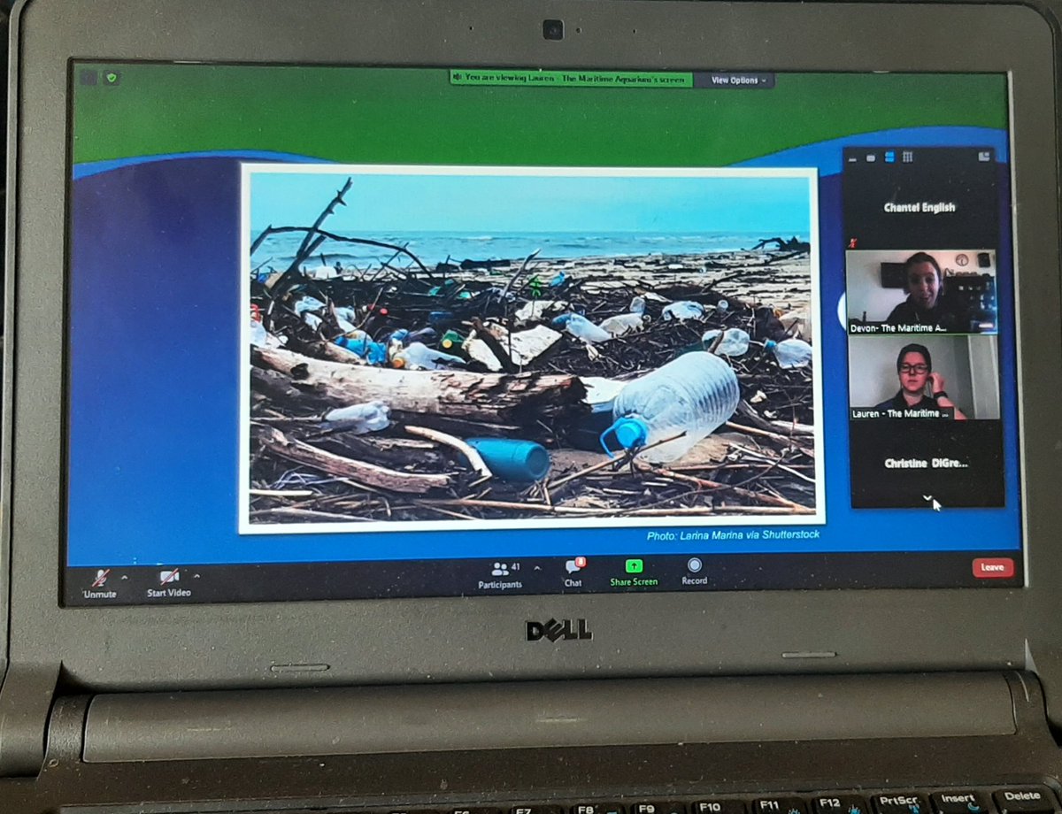 Chantel English tweet media