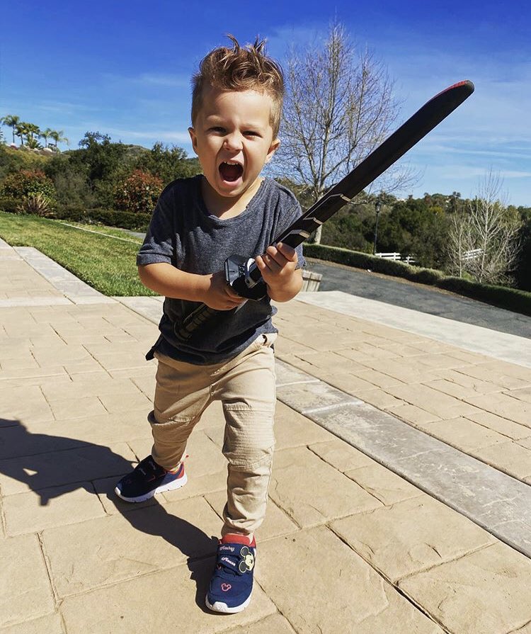 Stephanie Lazzaro tweet media