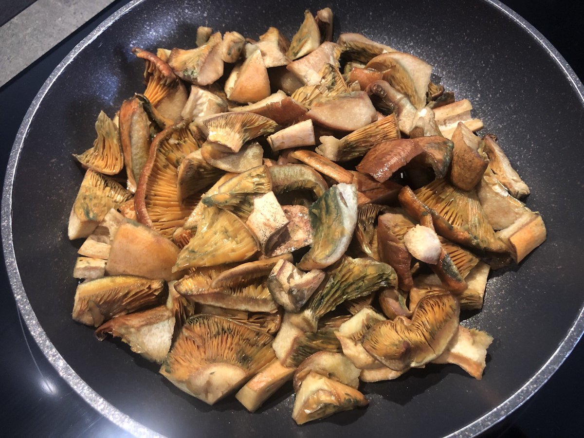 Niscalos o rebollones, un plato delicioso, muy nutritivo, poco calórico y muy sencillo de hacer.

Disfruta de esta delicia, tu paladar y tu salud te lo agradecerán. 

instagram.com/p/CGuxKPlFlBI/…

#nutrición #salud #zaragoza #niscalo