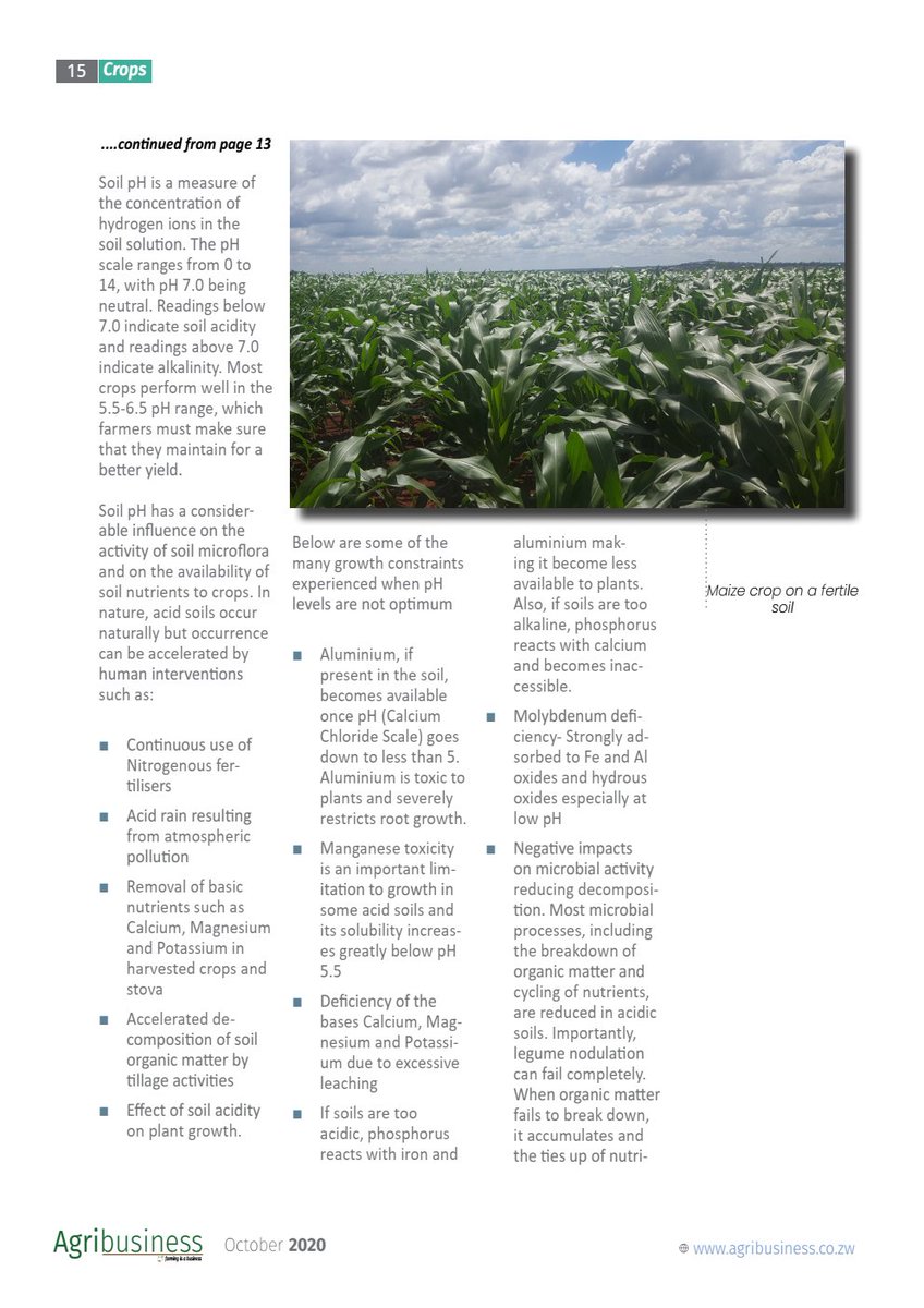 Agribusiness Media tweet media