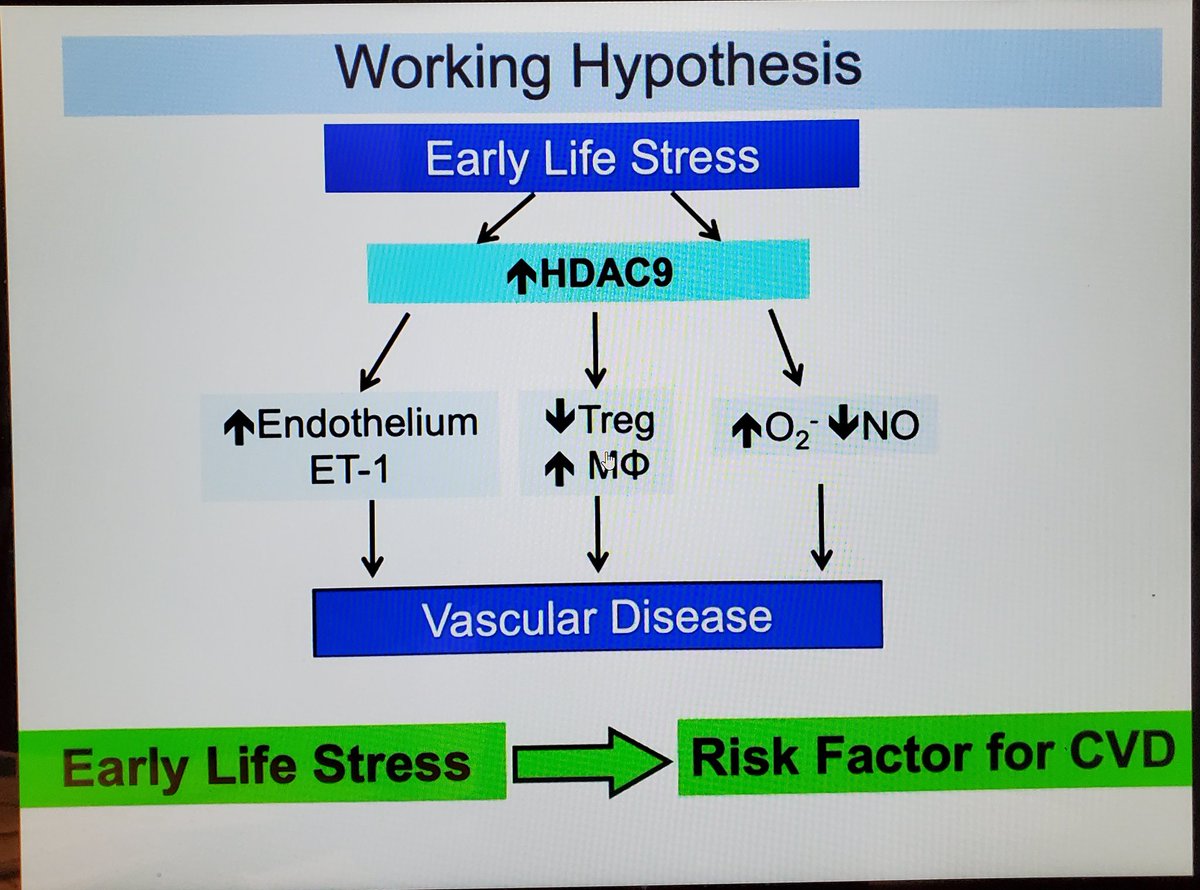 drjosflynn's tweet photo. Early life stress and origins of #hypertension and CVD
@ASPNeph #kidneywk https://t.co/ITrPLA7dl1