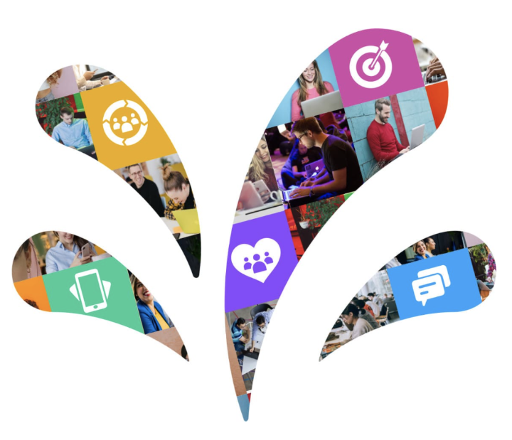 Jim Blum tweet media