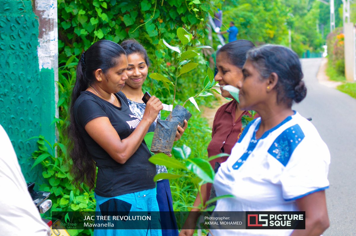 ReTreeSrilanka's tweet photo. Jak Tree Revolution organized by Re-Tree Sri Lanka was a huge success in completing the distribution of Jak Trees to households in and around Mawanella.
The following pictures are few glimpses of the Phase 02 of the project.
#ReTreeSL #ReTreeRush #JackTreeRevolution #mawanella https://t.co/XMafxLQwa0