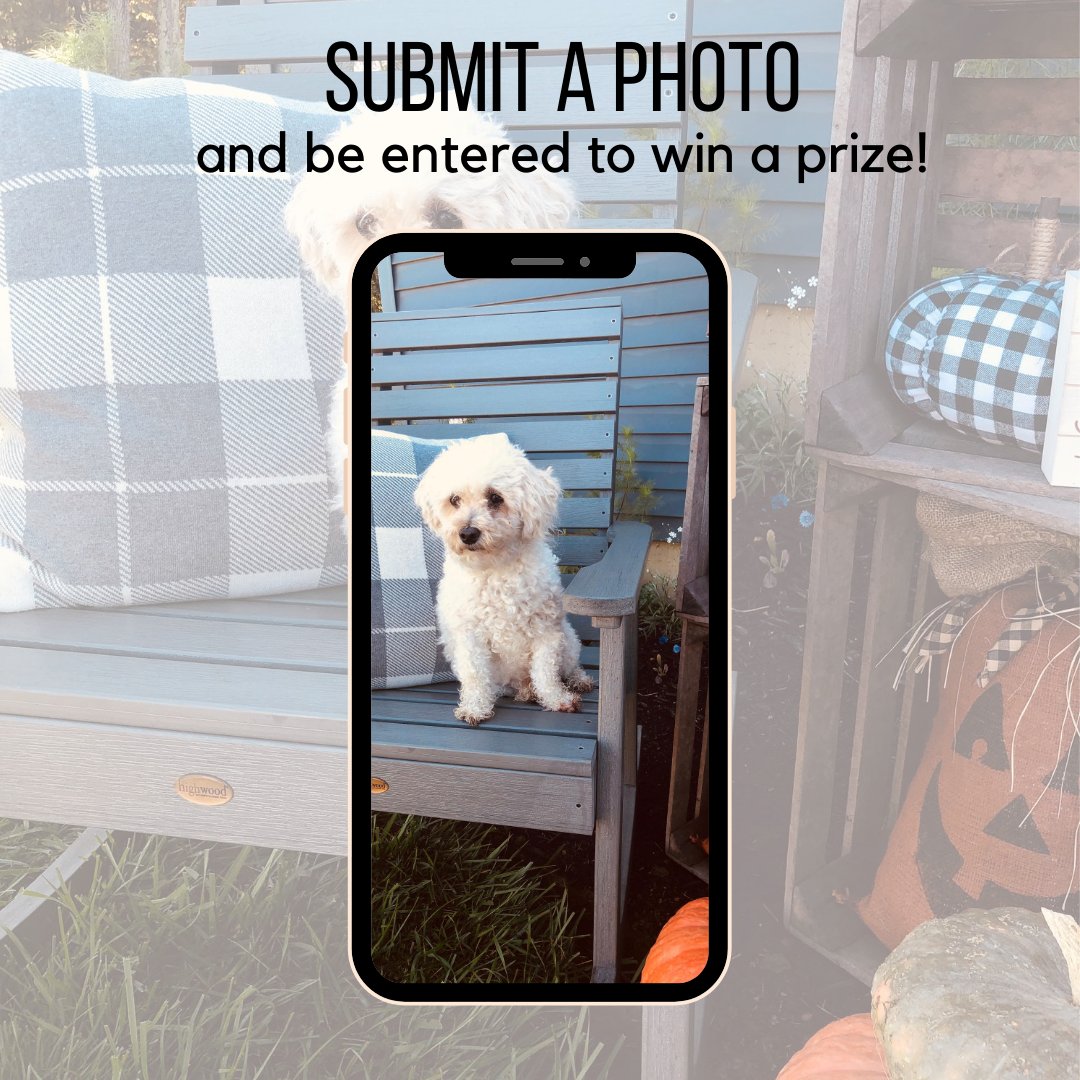 HighwoodUsa's tweet photo. Share a photo of your Highwood spa or furniture product with us via private message or socialmedia@highwood-usa.com by October 31st.

Hurry, October's submission deadline is 10/31/2020!

#contests #prizes #prizegiveway #outdoorfurniture #outdoorliving https://t.co/sfNuh3FK1R