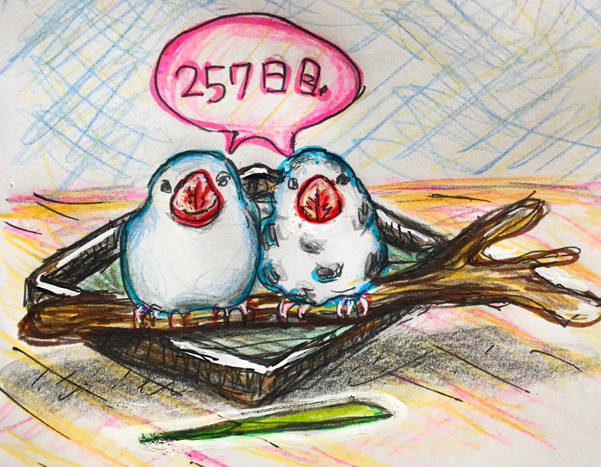 Twoucan 文鳥の日 の注目ツイート イラスト マンガ コスプレ モデル