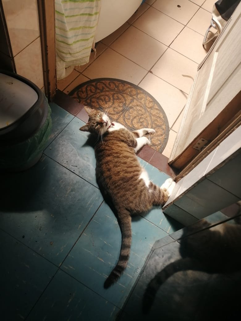kirbysatan's tweet photo. #ninaupdate (no se rían de la expresión en q pone su boquita tiene un problema en sus dientes no la molesten!!!!) https://t.co/Pa7Pk3nDNI