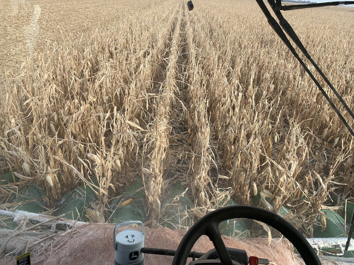 Top notch podcasts from @cyclonefanatic for a frosty finish to the harvest in northern Iowa! Go cyclones!! Thanks @ChrisMWilliams @JaredStansbury @brentblum @bretameyer @todd_blythe @jwoody32 @StephCopley @alisa_who - you guys rock. Also #nothingrunslikeadeere 😁