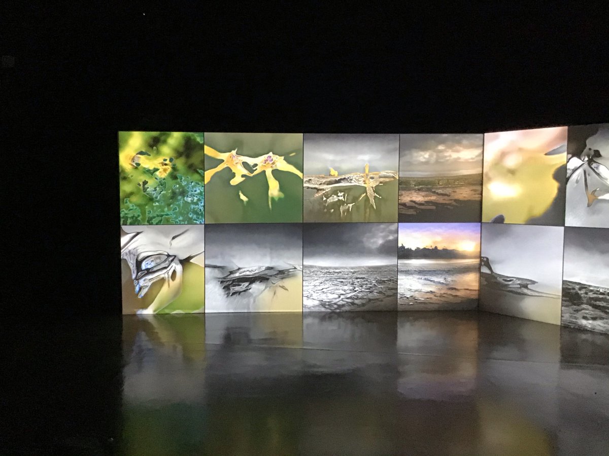 QuadParticipate's tweet photo. Fantastic Virtual QUAD MinecraftLAB session this afternoon drawing inspiration from the latest work in the @derbyquad Gallery...... fantastic creative responses by participants to creative a @quad_minecraft version of the work. #letscreate https://t.co/hYTjC9cnLm